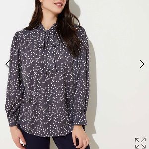 LOFT Plus Sz22 Hen Tie Blouse